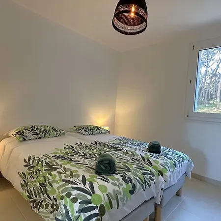 Duplex-3 Giens-wifi-parking By Hc Апартаменты Йер